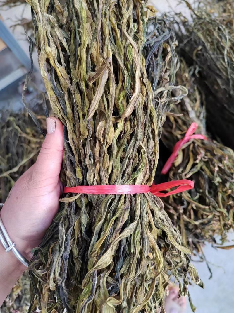新货精品干豆角大量供货全国发货欢迎选购