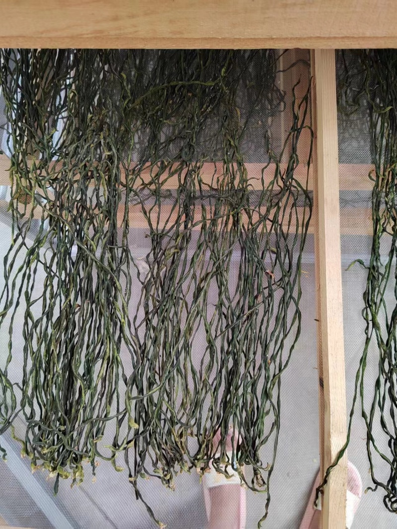 新货精品干豆角大量供货全国发货欢迎选购