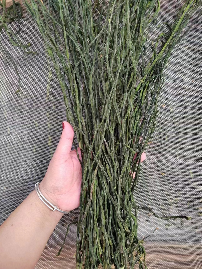 新货精品干豆角大量供货全国发货欢迎选购