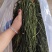 新货精品干豆角大量供货全国发货欢迎选购