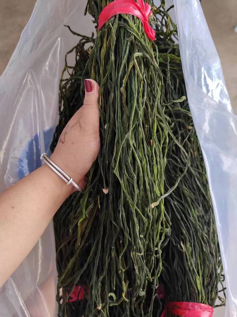 新货精品干豆角大量供货全国发货欢迎选购