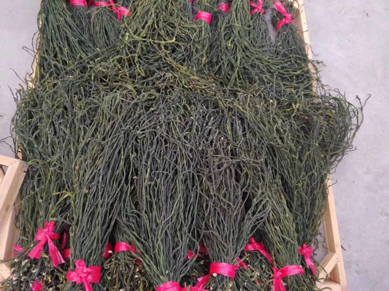 新货精品干豆角大量供货全国发货欢迎选购