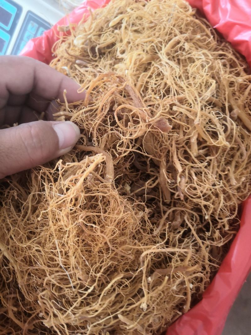 玉林泡酒料，产地直发，欢迎全国各地老板前来选购