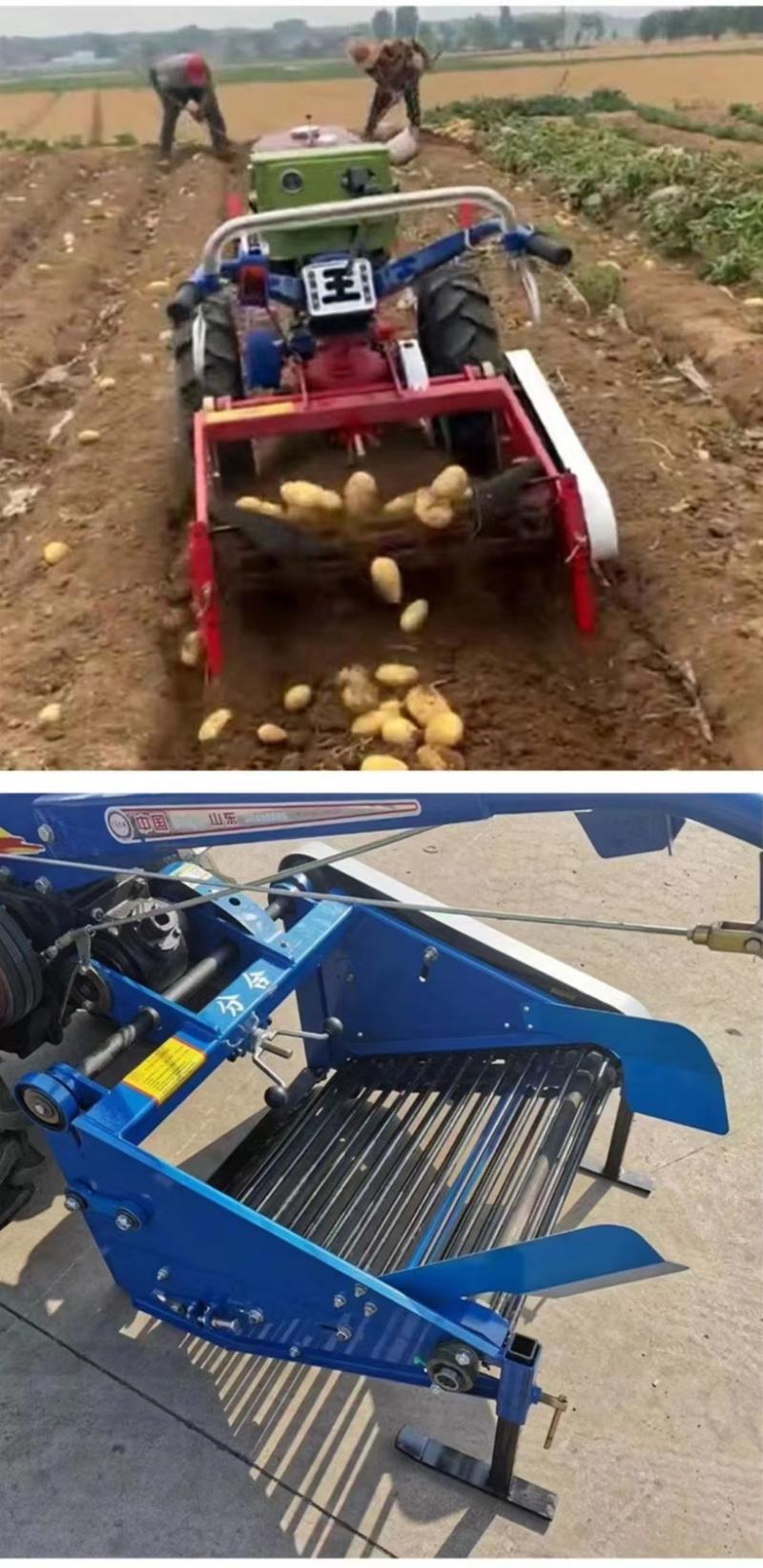 土豆收获机手扶拖拉机洋芋马铃薯收割机刨地瓜芋头收获机