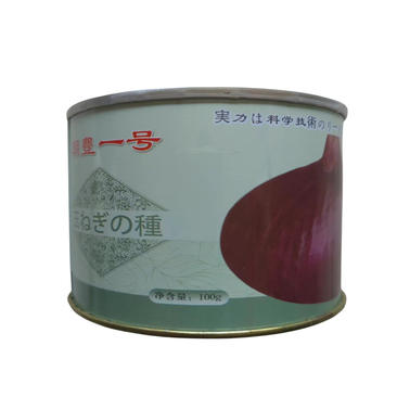 朝豊一号紫洋葱种子早熟特抗病半高桩进口紫皮洋葱种子