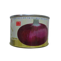 紫皮洋葱种子朝豊2号早熟高抗软腐病半高桩洋葱种子