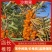 沙棘鲜果新疆特产第九师170团沙棘小镇沙棘鲜果