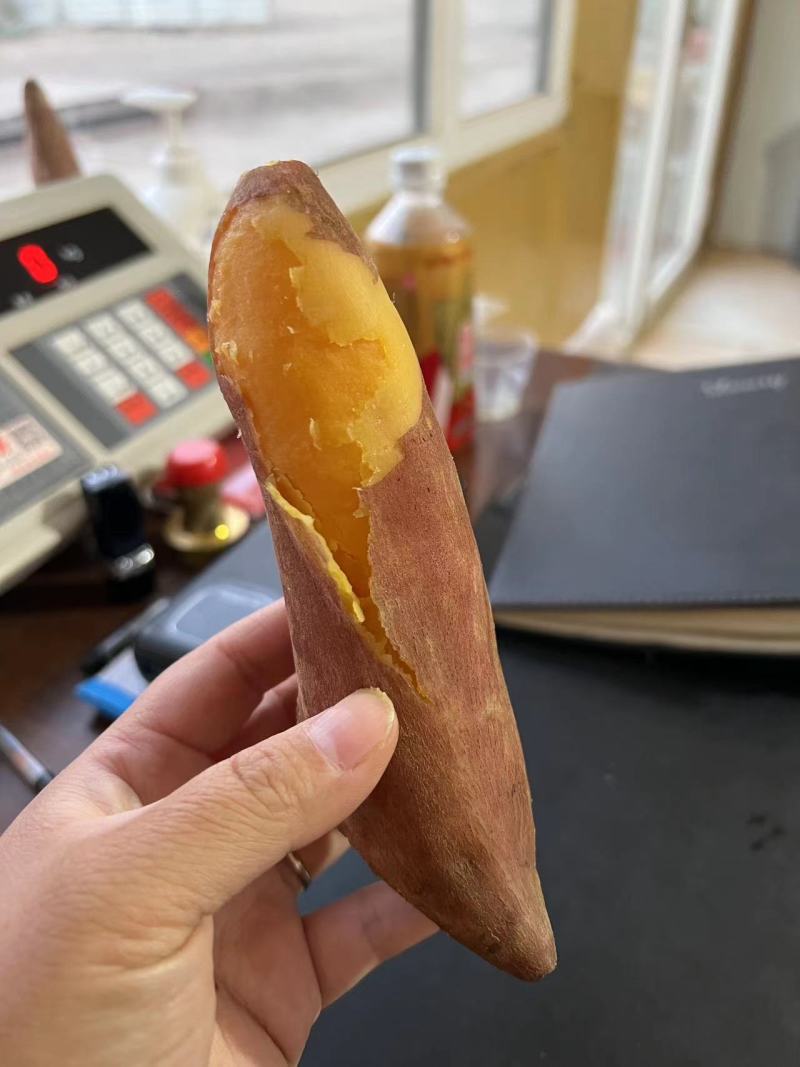 龙薯大量龙薯小红薯支持各种包装欢迎各位老板来电采购