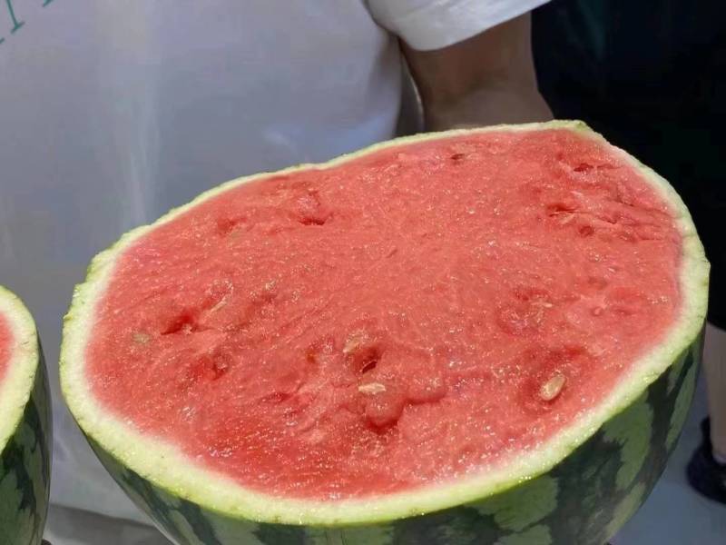 精品美都西瓜湖北西瓜以质论价口感甜对接全国各大批发市场
