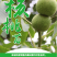 薄皮核桃树苗8518薄皮纸核桃苗9818核桃树苗