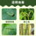 虫螨腈氯虫苯甲酰胺杀虫甜菜夜蛾菜青虫二化螟水稻卷叶螟喷雾