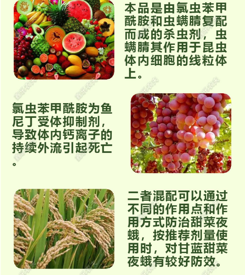 虫螨腈氯虫苯甲酰胺杀虫甜菜夜蛾菜青虫二化螟水稻卷叶螟喷雾
