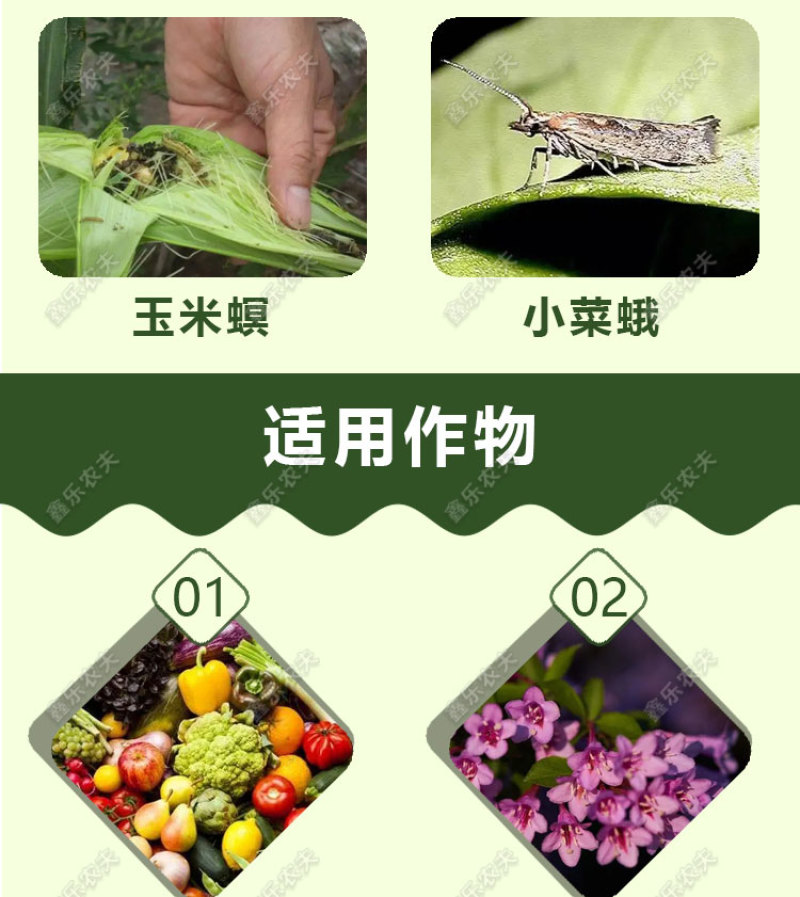 虫螨腈氯虫苯甲酰胺杀虫甜菜夜蛾菜青虫二化螟水稻卷叶螟喷雾