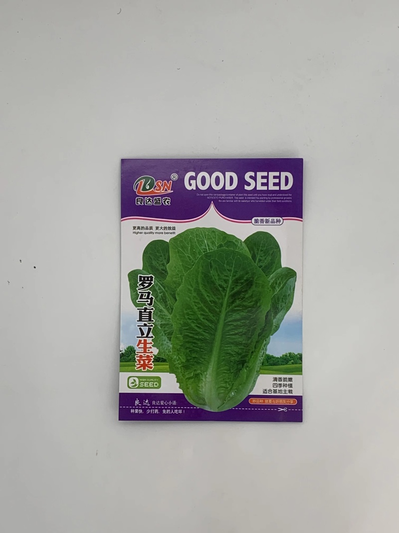 罗马直立生菜种子口感好生长速度快耐运输耐寒性好优质良种