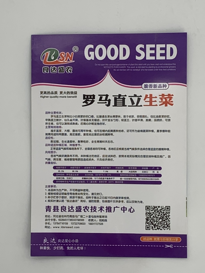 罗马直立生菜种子口感好生长速度快耐运输耐寒性好优质良种
