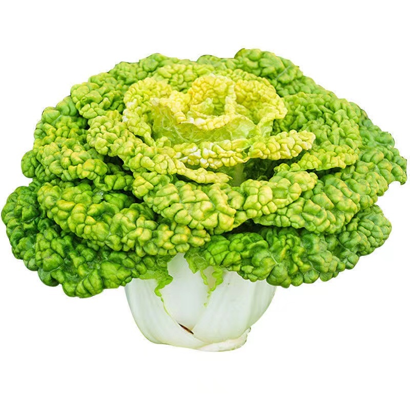 奶油黄心乌乌塌菜种子品质鲜嫩纤维少耐寒性强优质良种