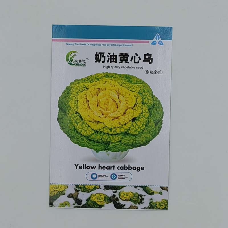 奶油黄心乌乌塌菜种子品质鲜嫩纤维少耐寒性强优质良种
