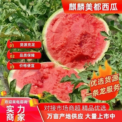 [麒麟西瓜批发]云南西双版纳景洪市西瓜 0.20元/斤美都麒麟西 _ 一亩田