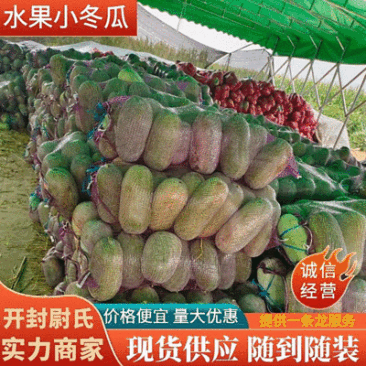河南冬瓜开封冬瓜大量上市,货源充足价格美丽,水果冬瓜