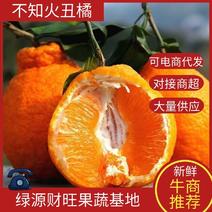 【实力优选】丑橘不知火柑桔精选大果对接超市电商产地直销