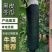 广西黑皮冬瓜产地直供量大从优市场代发全国欢迎电联