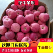 【推荐】甘肃天水套袋红星即将大量上市欢迎各大平台前来采购
