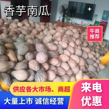 香芋南瓜大量上市产地直发一手货源欢迎选购