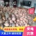 香芋南瓜大量上市产地直发一手货源欢迎选购