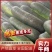 精品头批黑皮冬个头大，皮黑肉厚。量大成优