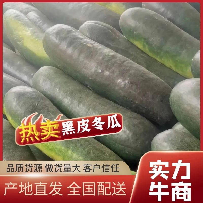 精品头批黑皮冬个头大，皮黑肉厚。量大成优