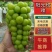【阳光玫瑰】河北葡萄大量上市果型端正一条龙电话议价