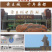 泽漆猫眼草四川产地货源大货供应七彩百草中药材批发