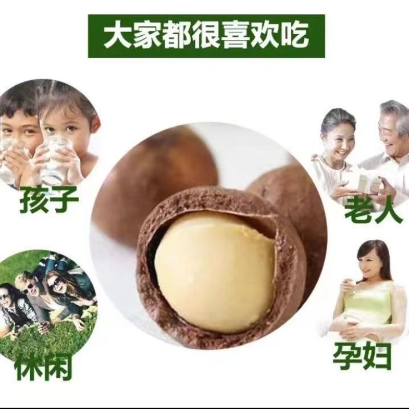 云南开口原味夏威夷果澳洲坚果送开口器0添加无干燥剂一级货