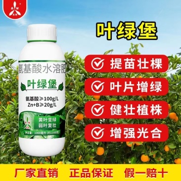 奥丰正品叶绿堡含氨基酸叶面肥提苗促长黄叶弱苗小苗一喷绿