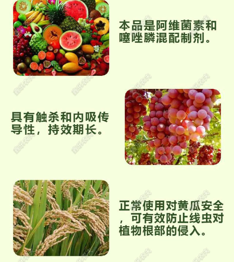 阿维噻唑膦根结线虫金针虫地老虎蛴螬蝼蛄花卉园林