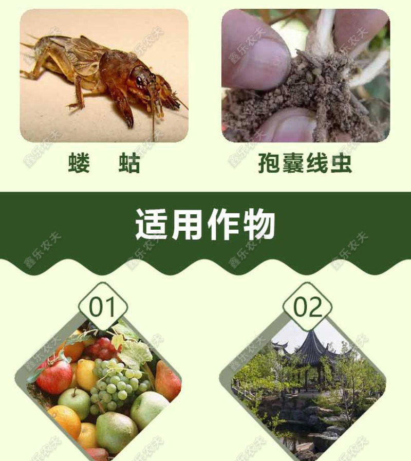 阿维噻唑膦根结线虫金针虫地老虎蛴螬蝼蛄花卉园林