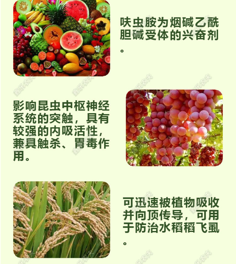 呋虫胺飞虱蚜虫稻飞虱粉虱小虫刺吸式害虫