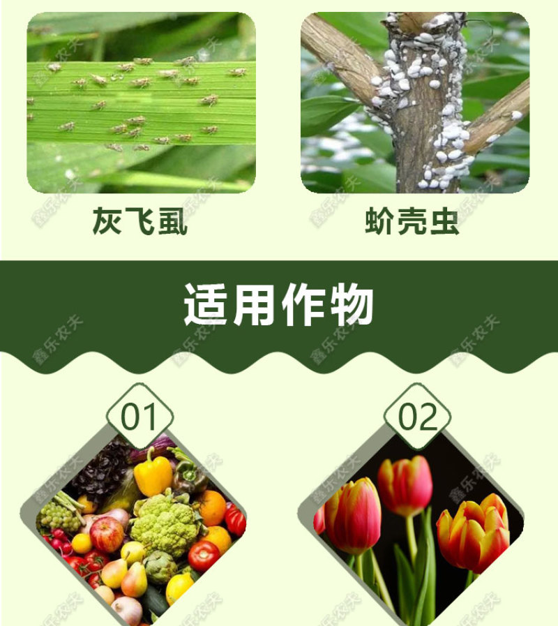 呋虫胺飞虱蚜虫稻飞虱粉虱小虫刺吸式害虫