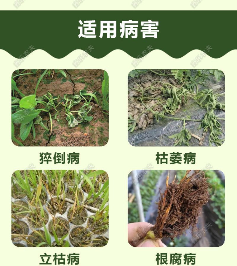 恶霉灵98%原粉根腐死棵立枯青枯枯萎土壤消毒杀菌剂