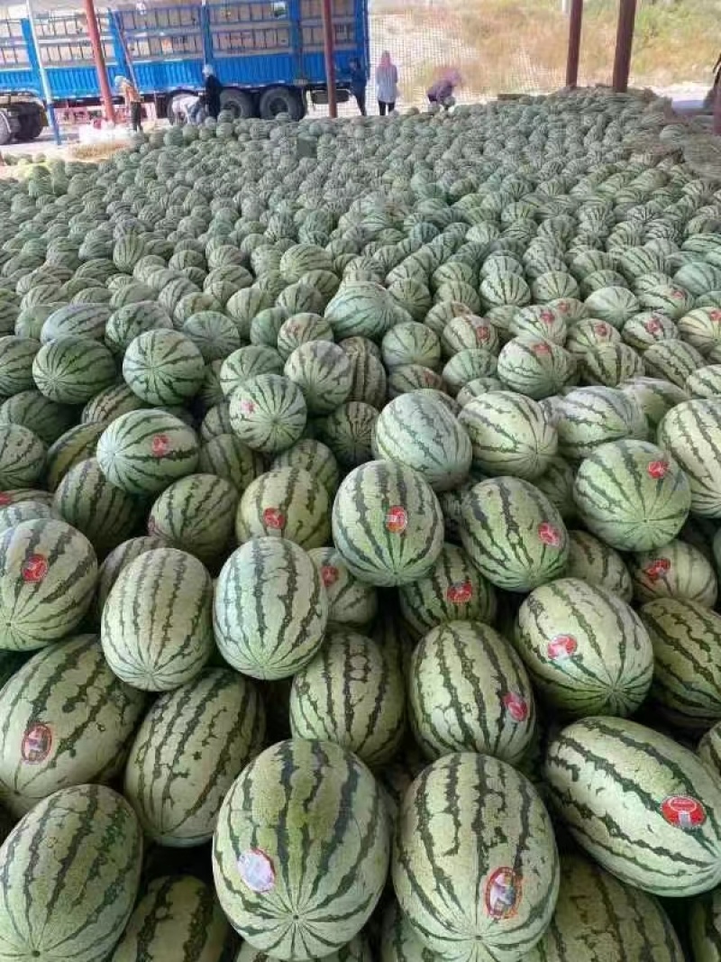 应季西瓜超高性价比