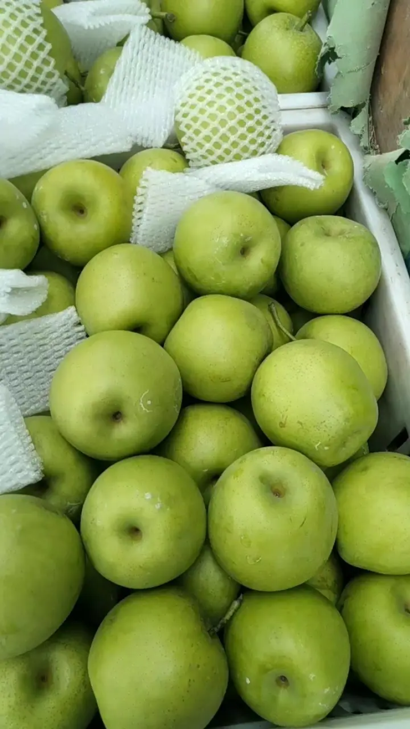 皇冠梨，纸袋皇冠梨，自然青，六两以上自然青大量供应