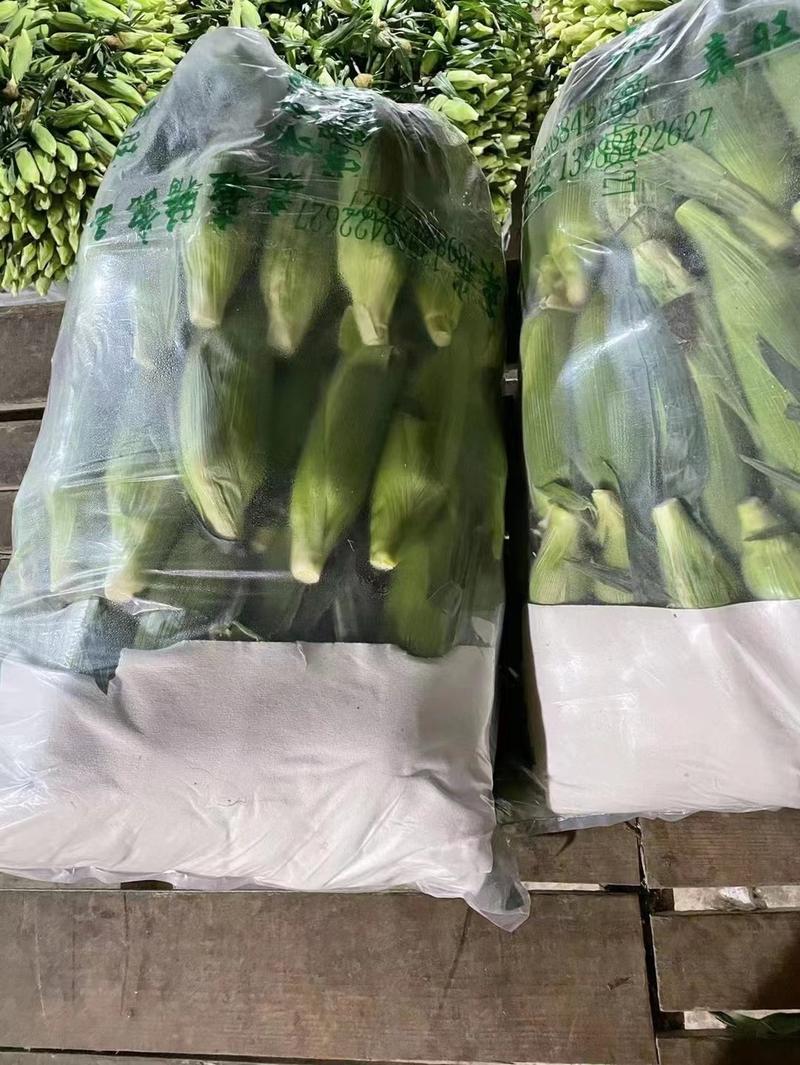 水果玉米新鲜上市，大量供应，产地广东全年有货