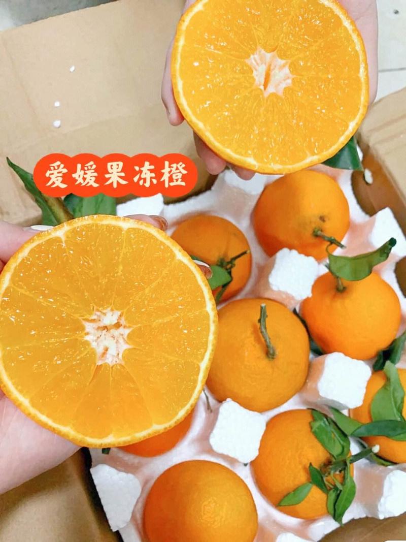 爱媛果冻橙大量供应社区团购电商平台爱媛38价格实惠好货