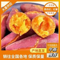 湖北城西瓜红红薯常年出货量货源充足品质量大从优