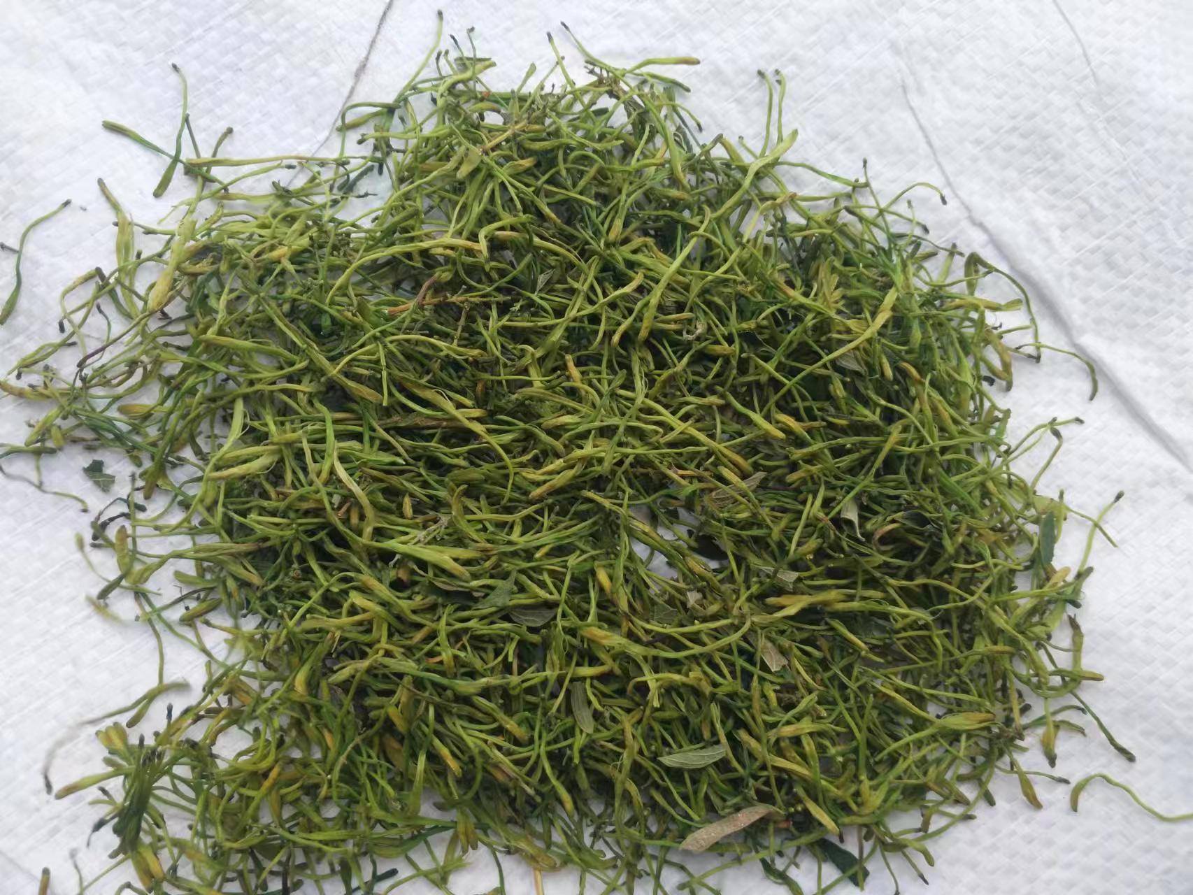 杭白菊与金银花干品展示图