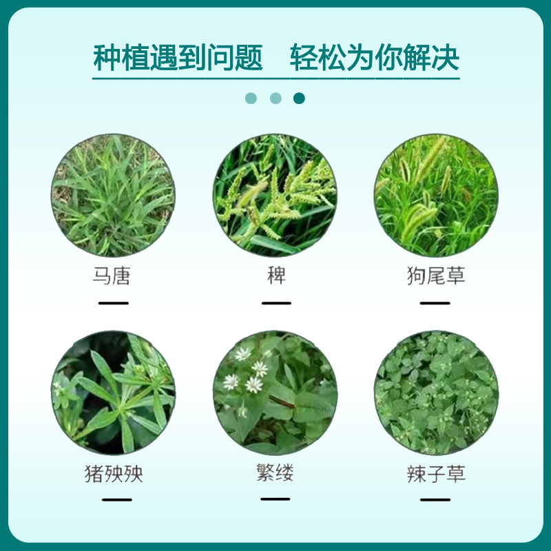 威远靓除20%草铵膦正品果园荒地牛筋草小飞蓬杂草斩草除根