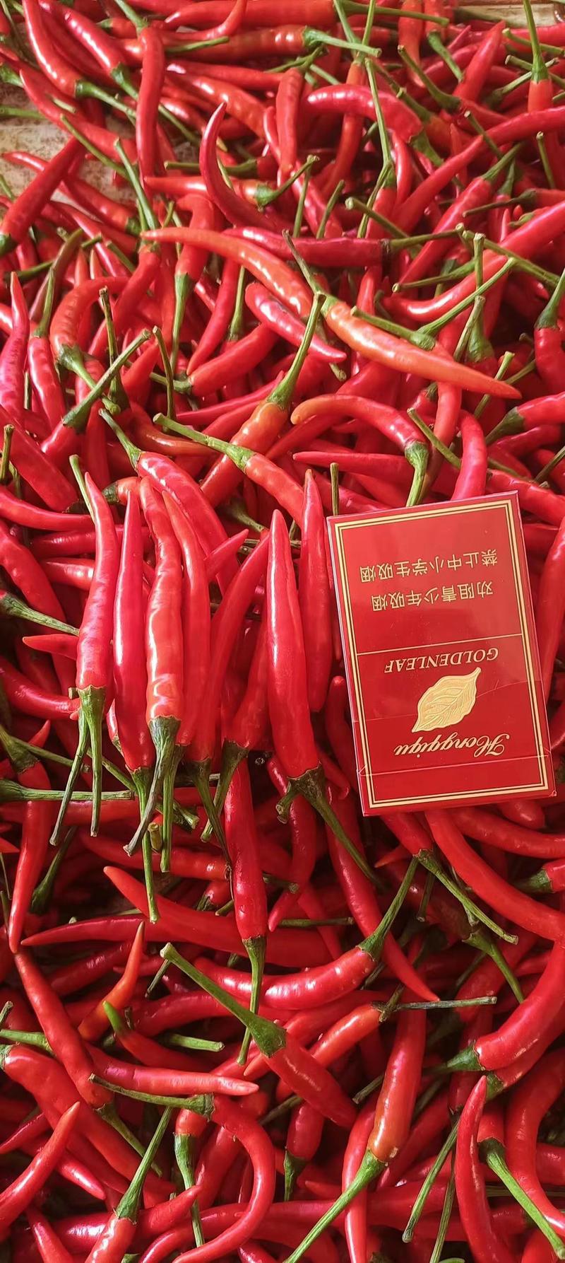 小米椒精品红米椒产地直发辣味正宗供应电商市场
