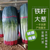 平度铁杆大葱,毛葱净葱，大量供应，全国代发，保质保量
