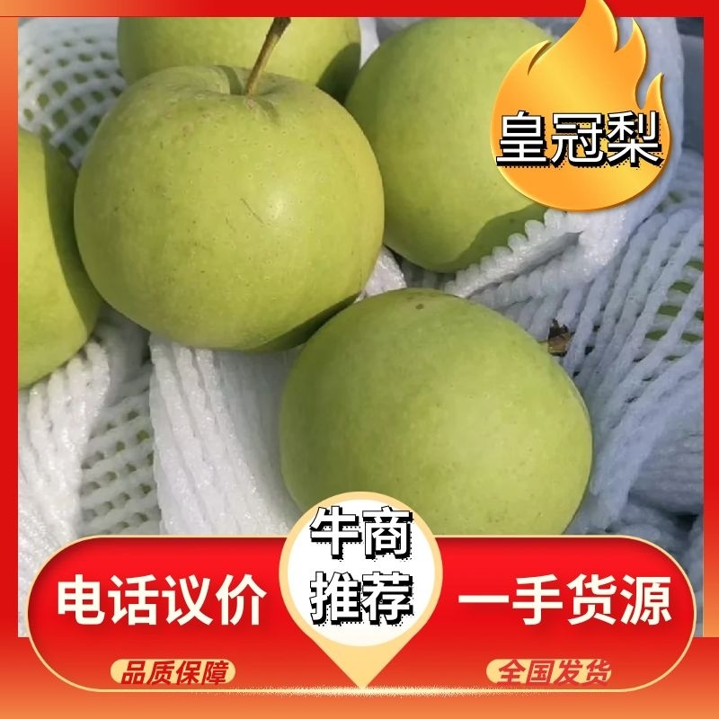 青皮黄冠梨大量上市产地直销型号齐全