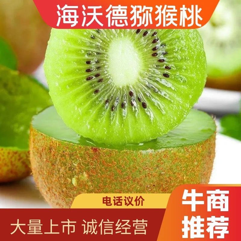 【精品】猕猴桃河南海沃德猕猴桃奇异大量上市产地源头直发